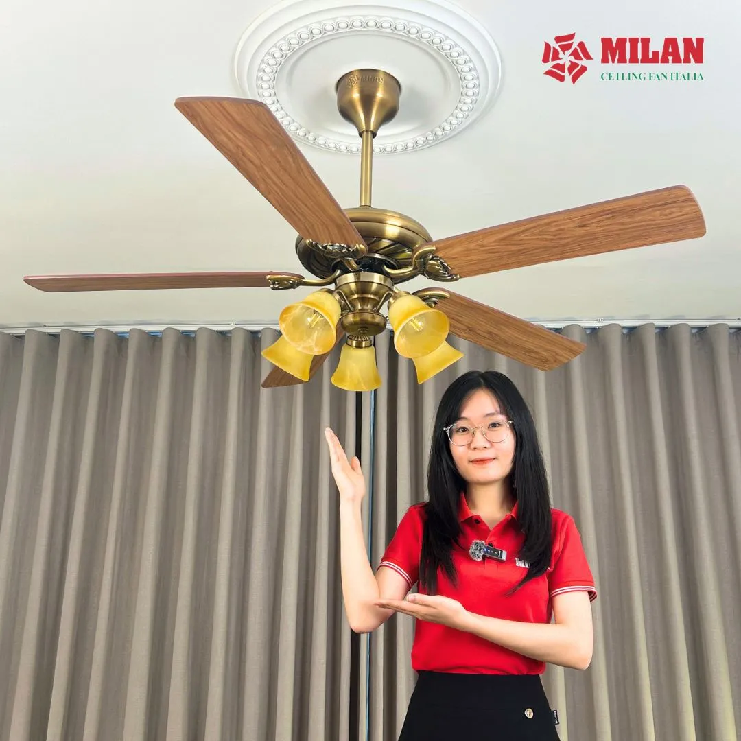 quat-tran-den-chum-5-canh-fy503-lap-dat-nhieu-khong-gian